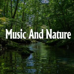 免费看黄片网址
